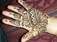 Bold traditional Punjabi henna in Orlando. Henna hand