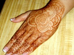 Traditional Indian style henna hand tattoo. Professional henna in Orlando.